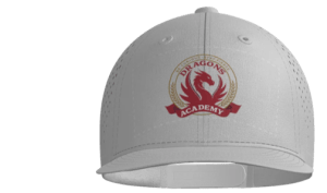 3D Embroidered Snapback Hat